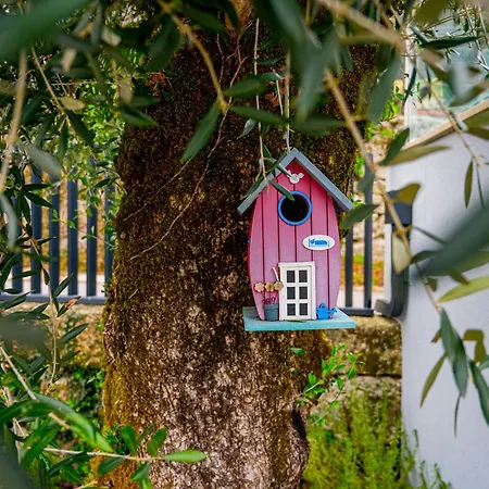 Вилла Casa Oliveiras *