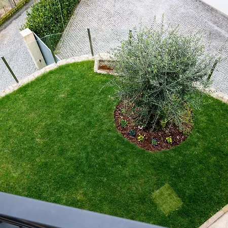 Villa Casa Oliveiras