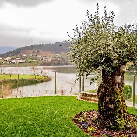 Casa Oliveiras Villa
