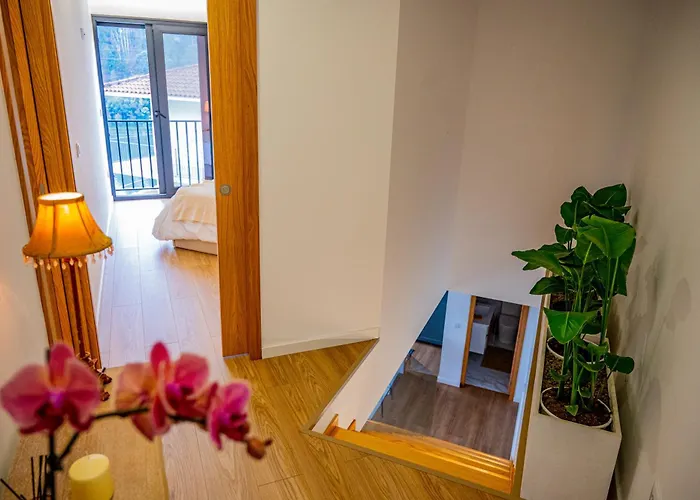 Villa Casa Oliveiras Vieira do Minho